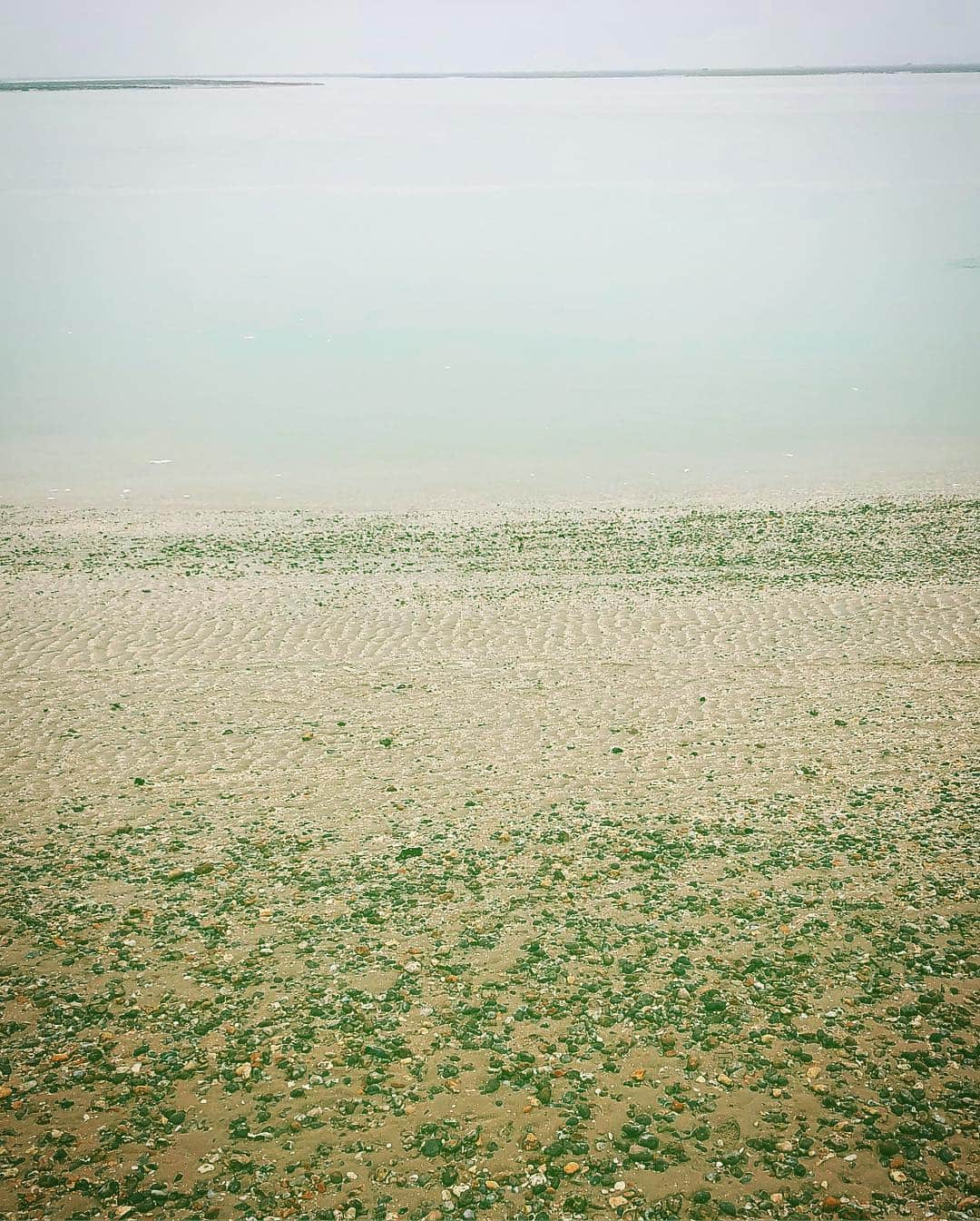 しなしさとこさんのインスタグラム写真 - (しなしさとこInstagram)「. . ⑲France フランスの海🏖🇫🇷 趣味のビーチコーミングも💓 個性的なシーグラス嬉しい😊 忙しい中連れて来てくれてありがとう . . #しなしさとこ #satokoshinashi #女子格闘技 #格闘技女子 #ジョシカク #女子アスリート #腹筋女子 #mma #柔道 #judo #柔術 #サンボ #42歳 #アラフォー#amiens #アミアン#フランス #ビーチコーミング #シーグラス #シー玉 #海 #フランスの海 #seaglass#beachglass#france #リリアン先生#bonfireseaglass glass #ボンファイアー#海が好き」3月29日 14時08分 - shinashisatoko