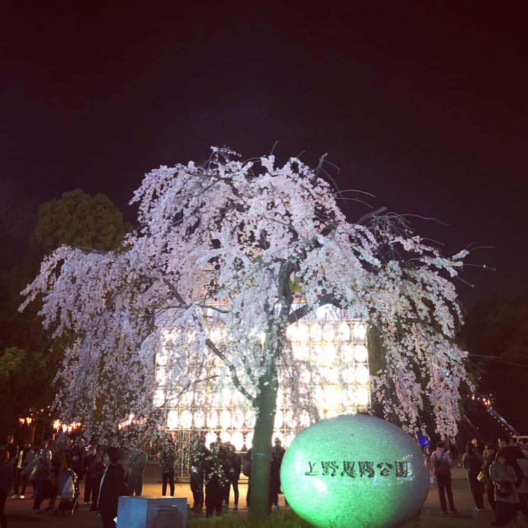 村山千代さんのインスタグラム写真 - (村山千代Instagram)「東京のサクラ🥟🍡🌸 昨日の芝公園と🗼少し前の上野🐼 花冷えどころか 鼻水出そうなくらい寒くて色々借りた。 ありがとうー😭 水筒にお湯持参でお湯割り。 駅のパンダのラスボス感よ…🐼 今日は仙台だから 気合い入れて冬コート… と思ったら東京の方が気温低いみたい？ 服選び難しすぎる… #花見 #お花見  #上野 #上野公園  #アナウンサー #女子アナ  #サクラ #桜 #ソメイヨシノ  #餃子 #王将  #東京タワー  #芝公園 #パンダ  #iPhonex #ポートレート」3月29日 14時28分 - chiyocolate420