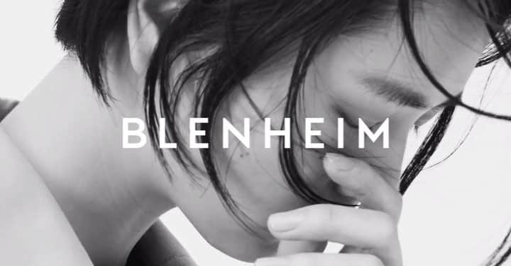 のインスタグラム：「. . . BLENHEIM 2019 SPRING SUMMER COLLECTION . @blenheim_jp  #BLENHEIM #ブレンヘイム」