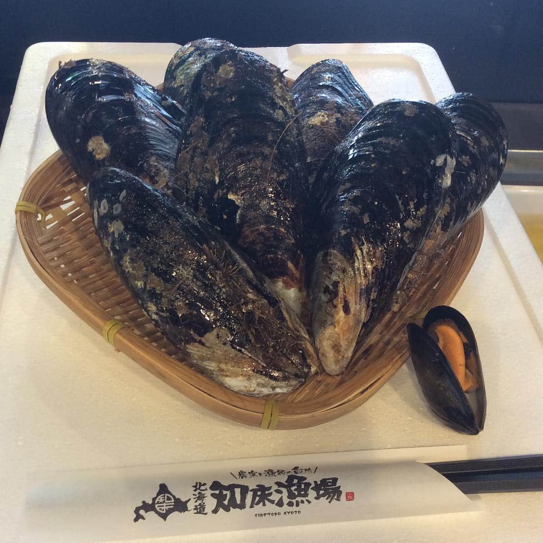 知床漁場 難波道頓堀店のグルメインスタ