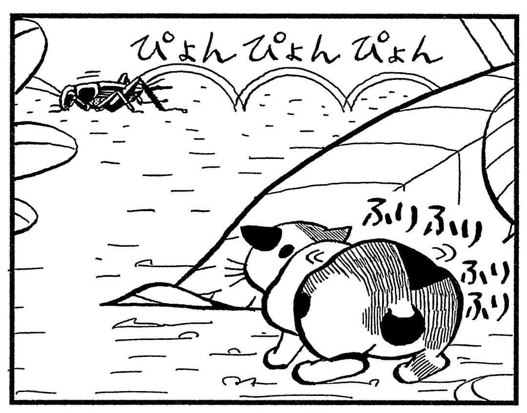 相原コージのインスタグラム