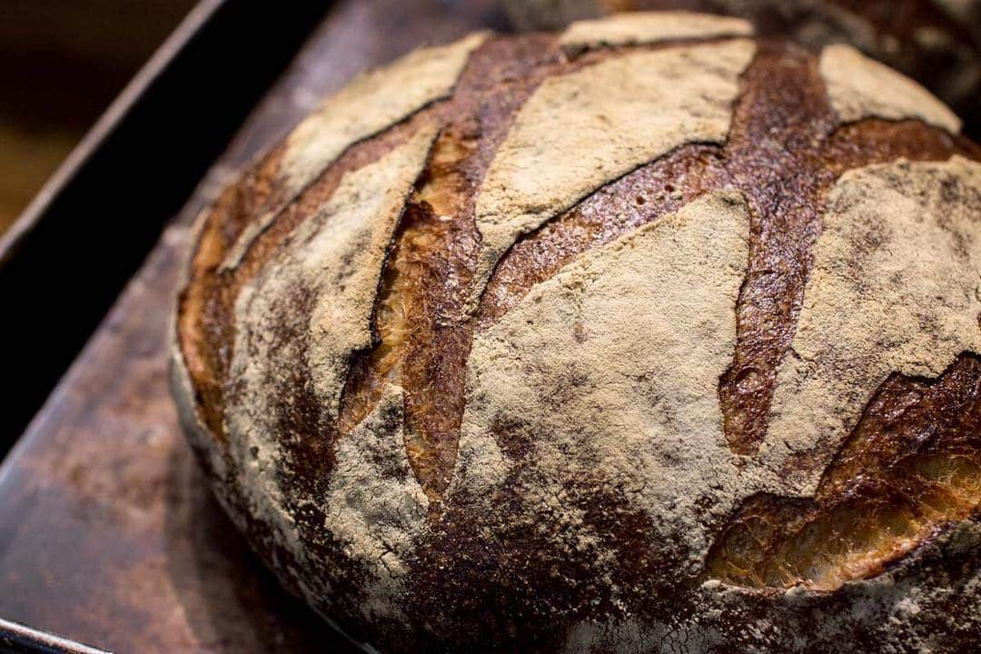 笹塚駅のパン屋さん オパンのグルメインスタ