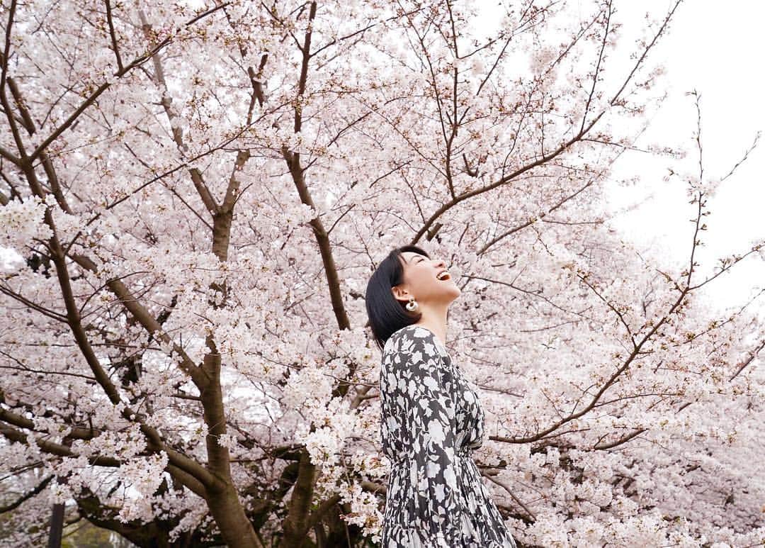 川田希さんのインスタグラム写真 - (川田希Instagram)「満開〜〜っ！ 🌸 . . #桜 #さくら #cherryblossom #japan #sakura #portrait #photography #写真好きな人と繋がりたい」3月29日 22時17分 - nozomikawata