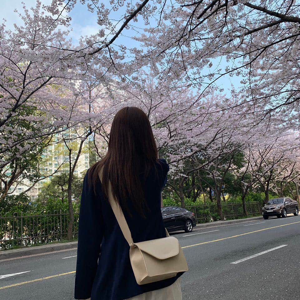 Aprilさんのインスタグラム写真 - (AprilInstagram)「‪[#나은]‬ ‪파인에플 저는 잠시 쉬는날이 생겨서 언니랑 부산으로 후다닥 왔어요‬ ‪부산은 벌써 팝콘파티에요 눈으로 볼때가 더 이쁜데 ㅠ 같이공유해주고싶은데 🤔🤔‬ ‪팬카페에 사진 더많이 올릴게요 기달려요‬ ‪오늘도 좋은하룽!‬」3月29日 16時58分 - official.april