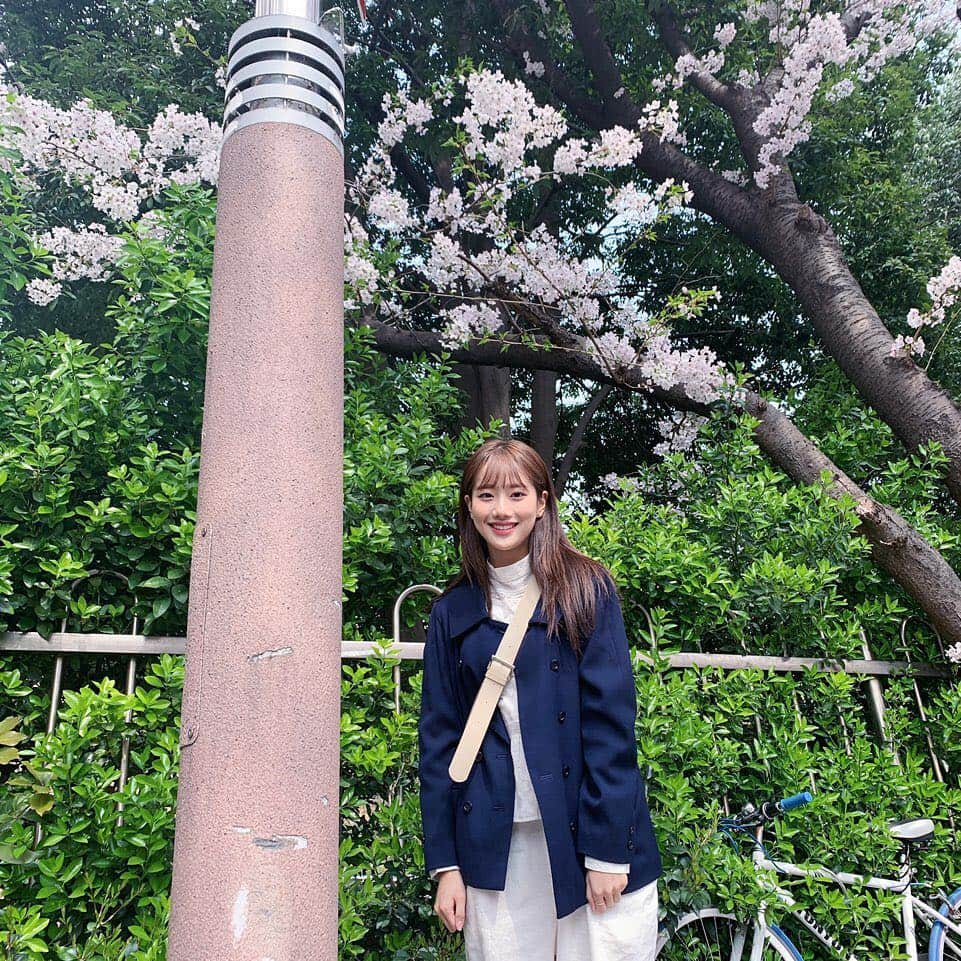 Aprilさんのインスタグラム写真 - (AprilInstagram)「‪[#나은]‬ ‪파인에플 저는 잠시 쉬는날이 생겨서 언니랑 부산으로 후다닥 왔어요‬ ‪부산은 벌써 팝콘파티에요 눈으로 볼때가 더 이쁜데 ㅠ 같이공유해주고싶은데 🤔🤔‬ ‪팬카페에 사진 더많이 올릴게요 기달려요‬ ‪오늘도 좋은하룽!‬」3月29日 16時58分 - official.april