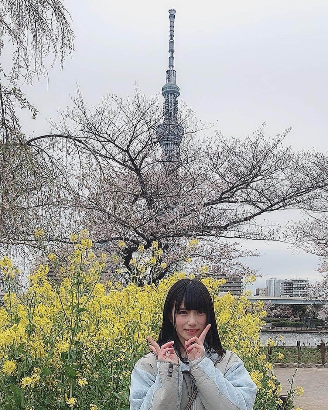 のインスタグラム：「Ｉhad a cherry blossam viewing in #asakusa #sumidariver 🌸🌸 It's been a while since I had a cherry blossam party. 🥰  #お花見 #浅草 #隅田川 #cherryblossom  #桜 #skytree #view #beautiful #japan #instagood #love #風景 #flower #散歩 #amazing」