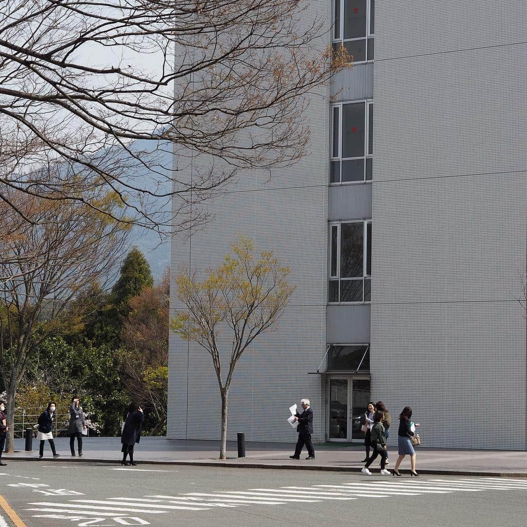 福岡女子短期大学さんのインスタグラム写真 - (福岡女子短期大学Instagram)「@福岡女子短期大学 #福女短2019入学 . 昨日から2日間開催されたリートレ（リーダーシップトレーニング）も無事終了しました🎀4/2入学式の準備も整いました✨ . 新入生のみなさん、良かったら入学式の写真に #福女短2019入学 をつけてください🌸投稿お待ちしてます✨ . #福岡女子短期大学　#福女短　#新入生　#太宰府　#キャンパス　#オリエンテーション　#新入生歓迎　#新入生オリエンテーション　#リートレ　#リーダーシップトレーニング　#新1年生 #春 #春が来た #アテンド　#福岡 #女子大生 #説明会 #入学式準備 #ご案内 #校舎 #高校生 #入学 #おめでとう #楽しみ #学生 #友達 #クラスメイト . ========[ 資料請求 ]======== ． 福岡女子短期大学の資料請求（大学案内・入試要項など）を無料送付中です。お気軽に申し込みください。 . 子ども学科/健康栄養学科 音楽科/文化教養学科 ． 福岡女子短期大学 住所：‪福岡県太宰府市五条四丁目16番1号‬ tel：‪092-922-4034‬（代表）」3月29日 16時52分 - fukuoka_wjc