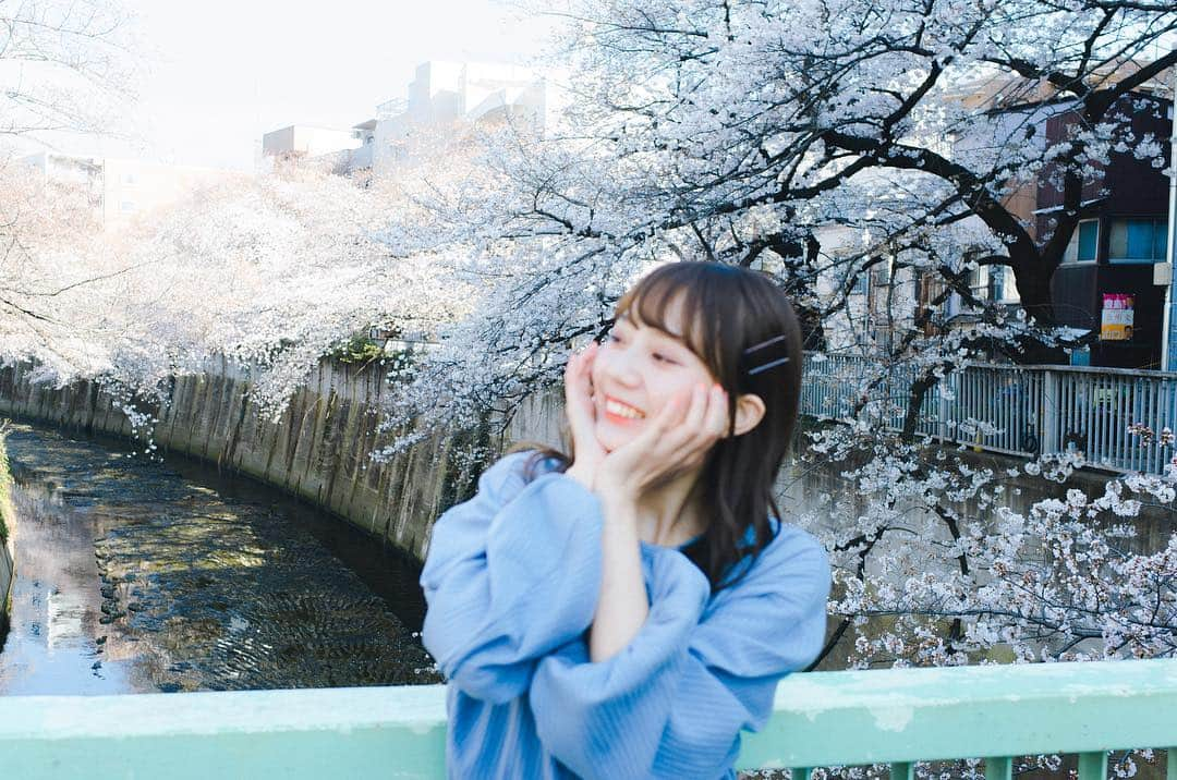 王依君さんのインスタグラム写真 - (王依君Instagram)「💙💙💙」3月29日 17時50分 - sandystrawberry_