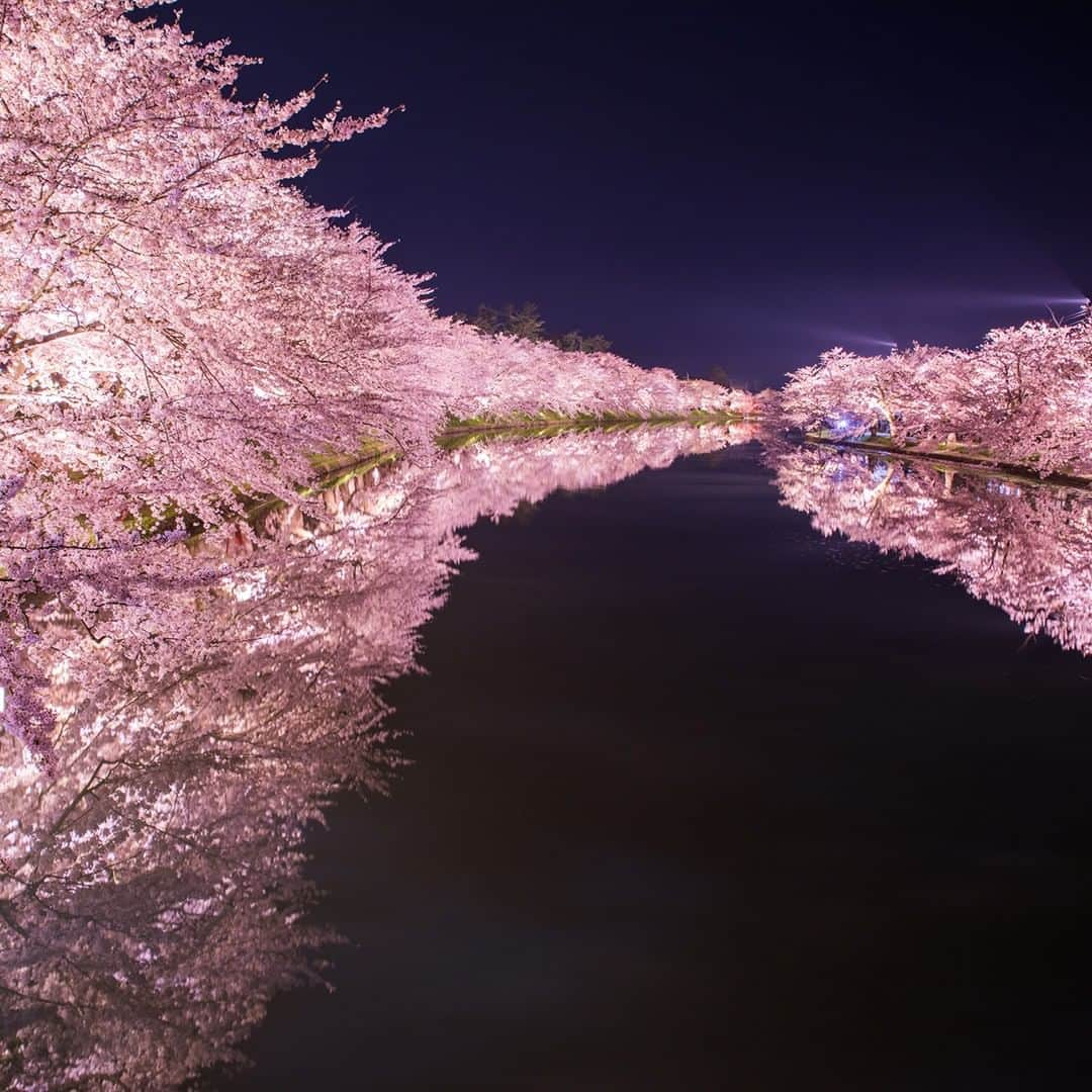 楽天トラベル さんのインスタグラム写真 - (楽天トラベル Instagram)「今年見に行きたいお花見スポットランキングをご紹介👇🏻※写真は過去の開花時のものです . いよいよ第1位🏆 #日本三大夜桜 のひとつ#青森県 の#弘前公園  約2600本もの桜が一面に咲き誇り西堀では桜がトンネルのように頭上を覆います。 お濠が桜の花びらで埋め尽くされる#花筏 (はないかだ) や#桜の絨毯 と呼ばれる光景も絶景です！ . 【#弘前さくらまつり 】2019/4/20～5/6 . ***************** 旅先で撮った素敵な写真に @rakutentravel をタグ付けしてシェアしてね♪ 厳選してこのアカウントで紹介させていただきます！ ***************** . #楽天トラベル #楽天  #rakutentravel #旅 #旅行 #旅に出よう #旅行好きな人と繋がりたい #travel #trip #日本 #japan #일본 #instagramjapan #IG_JAPAN #japantrip #桜 #夜桜 #桜の名所 #sakura #cherryblossom #青森 #aomori #hirosaki #弘前」3月29日 18時00分 - rakutentravel