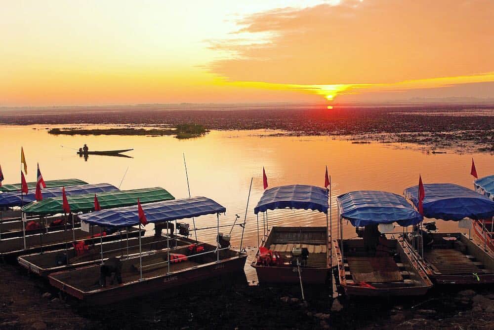 タイ国政府観光庁さんのインスタグラム写真 - (タイ国政府観光庁Instagram)「今週も1週間お疲れ様でした✨﻿ ﻿ タイ東北部・ウドーンターニー県の「ノーンハーン湖」の夕日の写真をお届けします📸﻿ ﻿ 「ノーンハーン湖」は“紅い睡蓮の海（クンパワピー）”として知られ、12月から2月の早朝に、水面が睡蓮の花で埋め尽くされる美しい光景を見ることができます🌸﻿ ﻿ 皆様、よい週末をお過ごし下さい😊﻿ ﻿ #お疲れ様でした #タイ #ウドーンターニー #ノーンハーン湖 #クンパワピー #紅い睡蓮の海 #こんなタイ知らなかった #もっと知りタイ #タイ旅行 #旅好きな人と繋がりたい #旅行好きな人と繋がりたい #絶景 #ファインダー越しの私の世界 #写真好きな人と繋がりたい #ダレカニミセタイソラ #ゆうやけこやけ部 #thailand #udonthani #nonghanlake #sunset #amazingthailand #thailandtravel #thailandtrip #thai #thaistagram #lovethailand」3月29日 17時58分 - amazingthailandjp