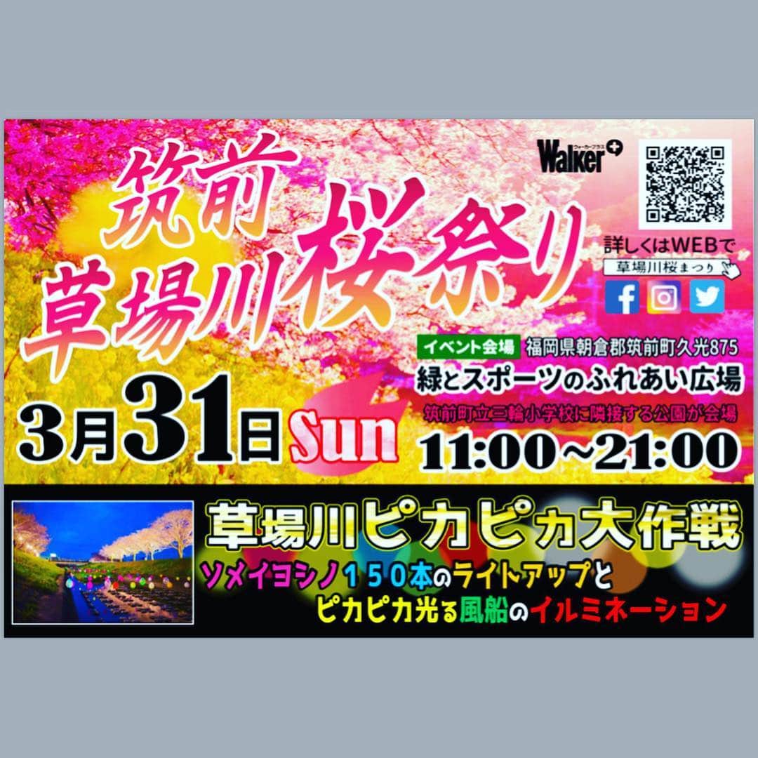 福岡超新鮮野菜/フレラボ薬院店のインスタグラム：「⭐︎☆お知らせ☆⭐︎ 3/31 筑前 草場川桜祭りに出店決定！ 当日はお野菜とフルーツとドライフラワーを販売する予定です🌸 おまちしております！  1.5kmにも及ぶ桜並木は、桜と菜の花のコントラストが楽しめる絶景スポット。夜はライトアップも行われ必見です！  #草場川ピカピカ大作戦  #筑前草場川桜祭り #草場川の桜並木  #桜 #筑前町 #朝倉 #いちご #お野菜 #ドライフラワー」