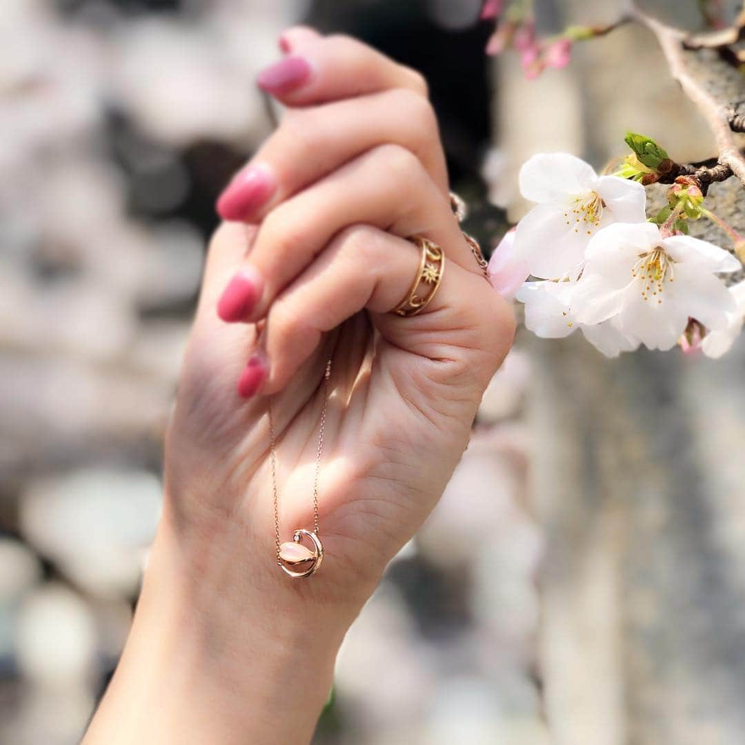 starjewelry_pressさんのインスタグラム写真 - (starjewelry_pressInstagram)「各地で桜の開花が始まりいよいよ春本番。 週末のお出かけには桜モチーフのジュエリーで春を取り入れて🌸 ・ ・ ・ #starjewelry #スタージュエリー #necklace #ネックレス #SAKURA #桜 #cherryblossom  #SAKURA_seasonⅢ #夜桜 #マザーオブパール #春 #spring #お花見 #春コーデ」3月29日 18時21分 - starjewelry_press