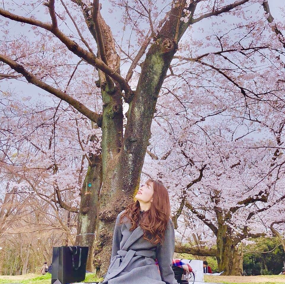 木谷有里さんのインスタグラム写真 - (木谷有里Instagram)「お花見🌸🌸🌸 春だけどまだまだ寒い😨 花よりたい焼き🍡🤣 #代々木公園 #Tokyo #桜#cherryblossom」3月29日 18時33分 - kitani_yuri