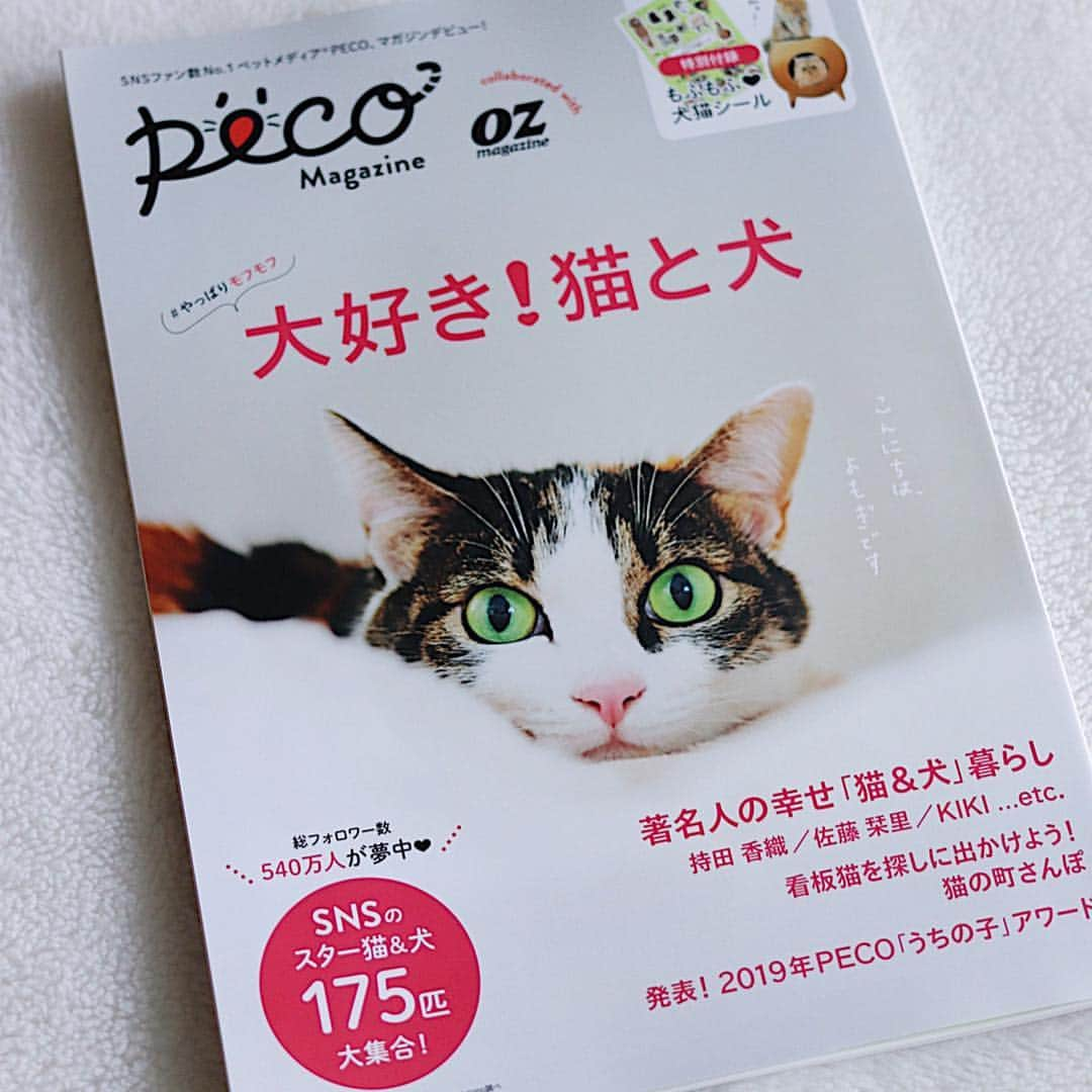 rei_nyanzさんのインスタグラム写真 - (rei_nyanzInstagram)「・ PECOmagazine collaborated  with OZmagazine ・  裏面のワンコ かなり気にニャる(•‾ω‾•) ・ 動画で撮ればよかった… くらいのガン見でした😂 ・  たくさん載せていただいて レイちゃんもビックリのけ反り🙀😂 ・ からの…ありがとうございます🙇‍♀️ ・  Special Thanks ❤︎ @pecocats ♡ 「#やっぱりモフモフ 大好き！猫と犬」 絶賛発売中♪ かわいいグッズ情報も満載で ずっと見ていられます〜😻📖😍 ・ ・ ・  #我が家の嬉しい記念になりました🙏🏻💕✨ #PECOmagazine  #OZmagazine」3月29日 18時38分 - rei_nyanz