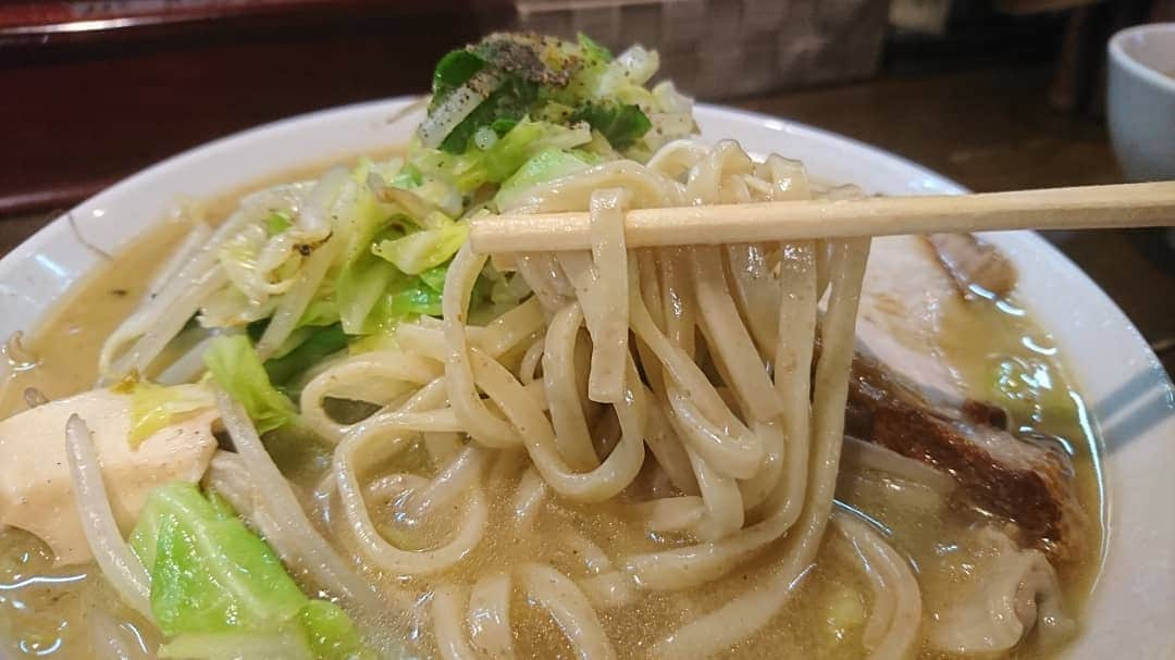 松本康太さんのインスタグラム写真 - (松本康太Instagram)「『特製ラーメン』名古屋コーチンのスープに牛もつ&野菜の旨味♪麺は平打ち麺(国産小麦の自家製麺)こだわりが半端ないラーメン(^o^ゞ美味しくてボリューム満点なのです♪もともと名古屋コーチン専門店の方が出したラーメン店♪  #ラーメン #名古屋 #特製ラーメン #牛もつ #春キャベツ #チャーシュー #名古屋コーチン #タンメン ？#美味しい #美味しいラーメン #名古屋飯 #ramen #レギュラー松本 #あるある探検隊」3月29日 18時50分 - aruarutankentai.matsumoto