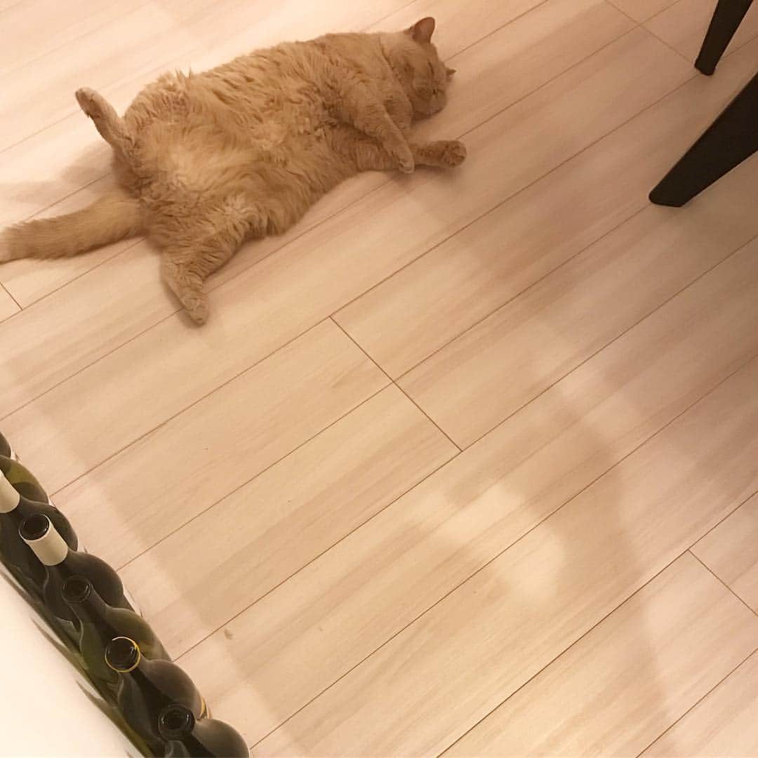 濱中鮎子のインスタグラム
