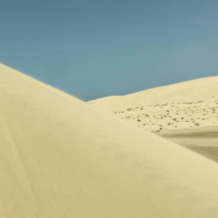 のインスタグラム：「Happy in the #desert 🌕🐪」