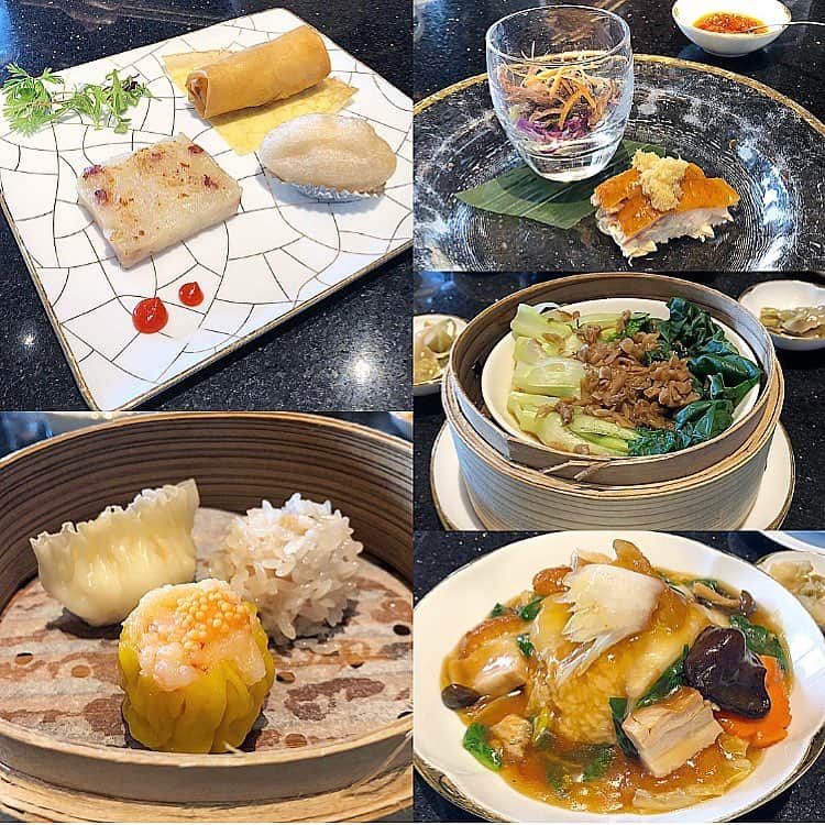 榊山敬代のインスタグラム：「🌸🌸🌸… ・ 親子時間最終日は。 中華ランチの巻。  昨年も両親と。 こちらのお店でランチしましたところ。 いつ。何をしている時期だったかなぁ…と。 インスタグラムの記憶を辿ってみますと。  桜の作品制作中のとき。 #色作業 34日目のとき。  と。いうことで。 桜の作品の制作過程の画像を記録していました  記録写真を見返してみますと。 桜の木は。まだ半分までにて。  背景も描いてないですし。 桜の木の上も描かれてなくて。 はたして。２ヶ月で。完成するのでしょうか…！ と。ペースがかなり遅くてビックリの過程模様。  そして。 色作業34日目の頃の。 両親との中華ランチでは。 桜の作品を描いてることも。 美術館で展示することも。 実は狂いそうな程ツライ心境も。 両親には内緒で。察知されないように。 もぐもぐしていたのでした。  やがて。 色作業が完成して。 桜の作品をお披露目できましてからの。 中華ランチは。 ホ〜…と。 とてもありがたく。平和に感じるのでした。 #苦は楽の種  それにしましても。  今月は。自らの桜の作品を観る機会と共に。 いろいろと。振り返る三月となりましたが。  来月からは。 いよいよと。 新作モード。  と。  準備。 充電。  ととのえたいとき。 … ・ ・ ・ ・ 🌸" 作品展示情報… ・ 『第7回 郷さくら美術館 桜花賞展』… ・ 会場：郷さくら美術館 ・ 「郷さくら美術館　桜花賞」展は、「桜」を描いた現代日本画を多くの方々にご覧頂き、日本画の素晴らしさを再発見してもらうことを目的とした展覧会です。今回もこれからの活躍がますます期待される日本画家31名が、日本美術でおなじみの「桜」という大変難しいモチーフを相手に、それぞれの持ち昧を生かした個性的な素晴らしい桜の絵画に仕上げています。現代日本画家たちの個性を、豊かな桜花の美しさを、どうぞお楽しみください。  東京都目黒区上目黒1-7-13　 TEL：03-3496-1771  東急東横線、東京メトロ日比谷線 中目黒駅より徒歩５分 ◼︎詳しくはホームページをご覧ください … ・ ・ ・  #ランチ #lunch #ホテルランチ #恵比寿 #ebisu #hotellunch #恵比寿ランチ #Tokyo #food #Chinesefood #広東料理 #龍天門 #中国料理 #love #点心 #小籠包 #春巻 #大根餅 #揚げ餅 #またたべたい #日本画家 の #外出こんなもん #家族時間 #family」