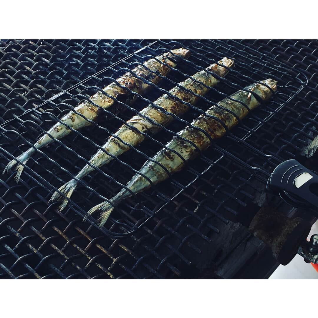 たむらぱんさんのインスタグラム写真 - (たむらぱんInstagram)「うろこフェンスから春見て思い出したのは、 秋刀魚百円。その味プライスレス🤤 #桜 #秋刀魚 #tamuracamera」3月29日 19時53分 - _tamurapan_