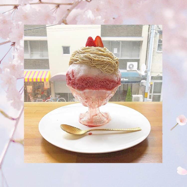 「SNOW」顔認識カメラアプリのグルメインスタ