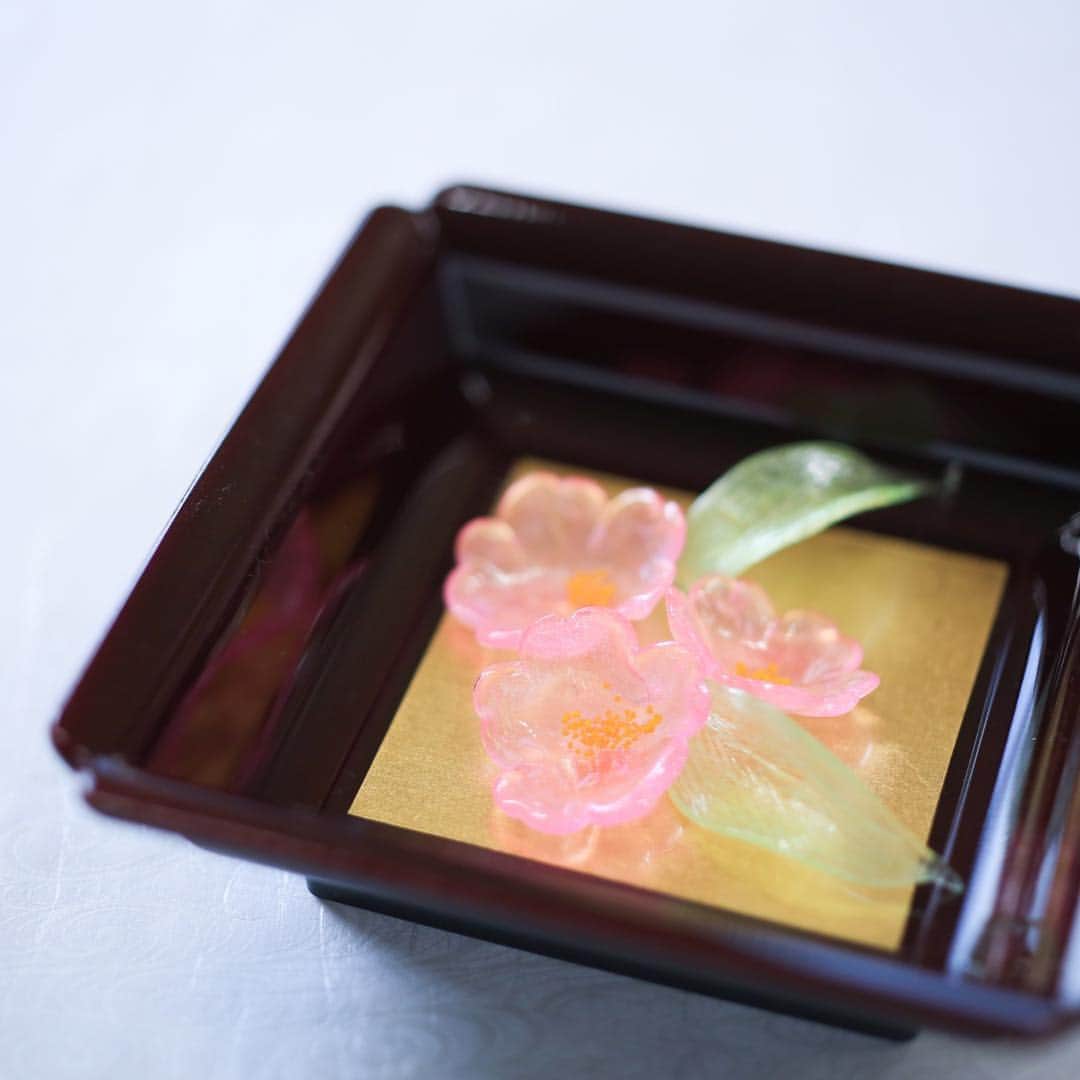 Toru Tsuchieさんのインスタグラム写真 - (Toru TsuchieInstagram)「今日の和菓子は有平糖で作った桜花です。 撮影 用に作成しました。 久しぶりに有平糖を作ってみましたが そもそも得意でもありませんし難しいです。 フェイスブックページのいいね！もよろしくお願いします。 https://www.facebook.com/shishisu/ Today's wagashi is Cherry blossom with Candy.  The sweets I've made for the shooting. #kook #福泉堂  #和菓子  #Милий #wagashi  #торт #出雲  #春 #カメラ好きな人と繋がりたい  #写真好きな人と繋がりたい　 #Japan_of_insta #和スイーツ #handmade　 #جميل #Japan #wagashi  #красивый #器  #blossom #gâteau #candy #일본디저트  #Mignon  #igfood #craftsman #Kuchen #桜 #สวย #sweets #kawaii」3月30日 6時29分 - choppe_tt