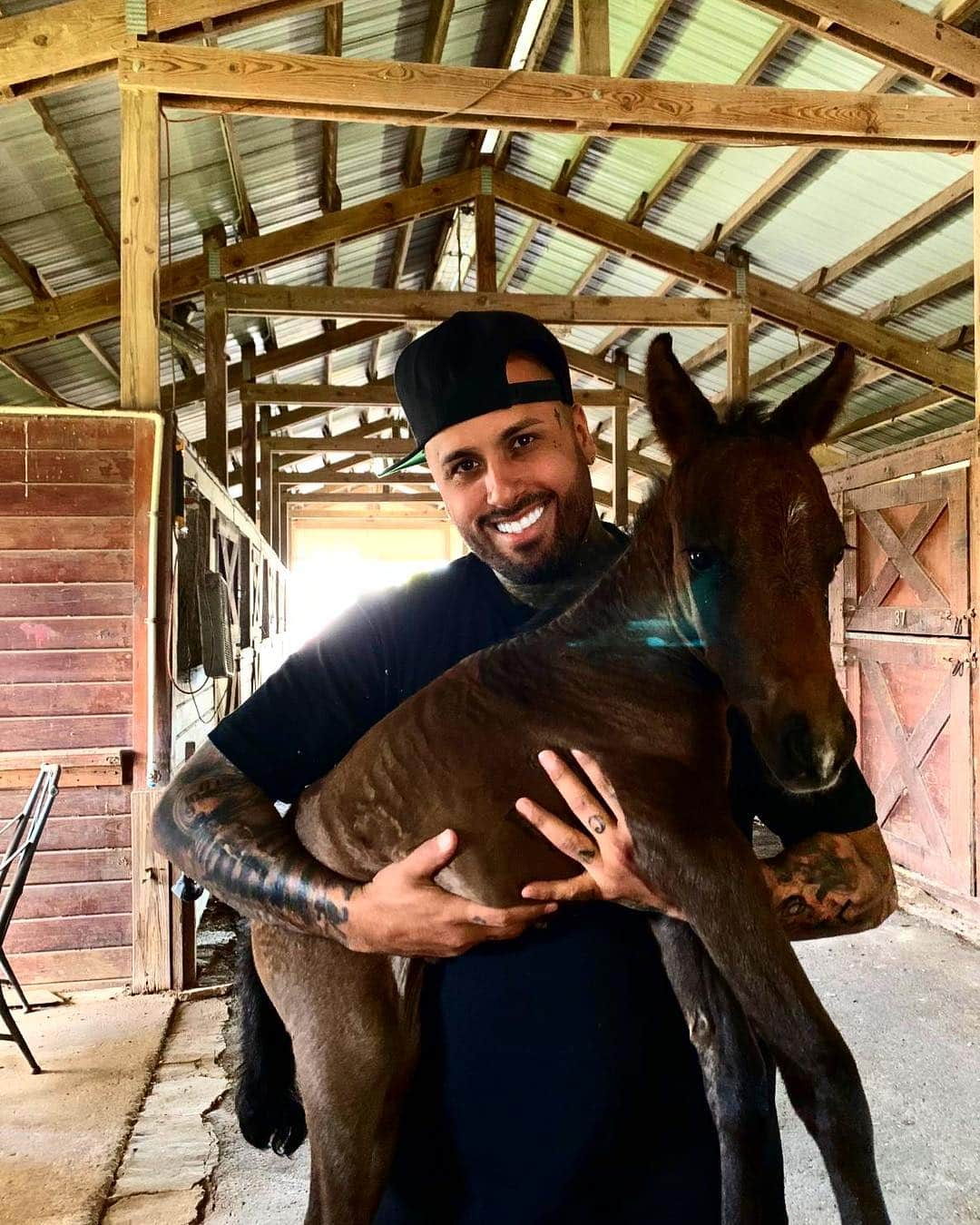 NICKY JAMさんのインスタグラム写真 - (NICKY JAMInstagram)「🐴」3月30日 7時03分 - nickyjam