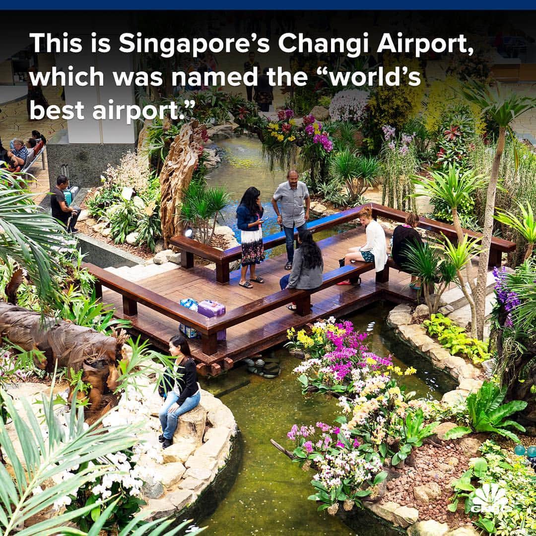 CNBCさんのインスタグラム写真 - (CNBCInstagram)「Asian airports dominated this year’s list of best airports, taking 6 of the 10 top spots.⁣⠀ ⁣⠀ Singapore’s Changi airport was voted the “world’s best airport” — for the 7th year running. Research firm Skytrax asked 13 million travelers to rate airports on data points like check-in, shopping and security.⁣⠀ ⁣⠀ Looks like Changi isn’t satisfied with being No. 1 — next month, the airport is opening a new development that features gardens, a hotel and 300 retail and dining facilities.⁣⠀ ⁣⠀ To read the rest of the list, click the link in bio.⁣⠀ ⁣⠀ *⁣⠀ *⁣⠀ *⁣⠀ *⁣⠀ *⁣⠀ *⁣⠀ *⁣⠀ *⁣⠀ ⁣⠀ #aviation #airlines #singapore #changi #airport #skytrax #vacation #travel #business #businessnews #cnbc⁣⠀ ⁣⠀」3月30日 7時13分 - cnbc