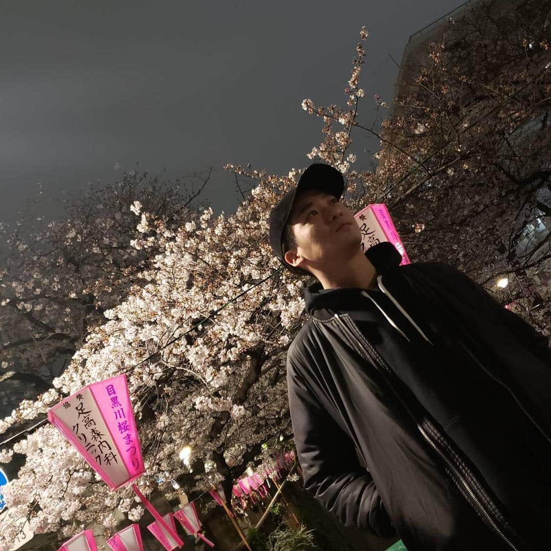 ダイキさんのインスタグラム写真 - (ダイキInstagram)「夜桜 #ライトアップは21時まで #17時から21時まで」3月29日 22時26分 - daiki_sugiura0619