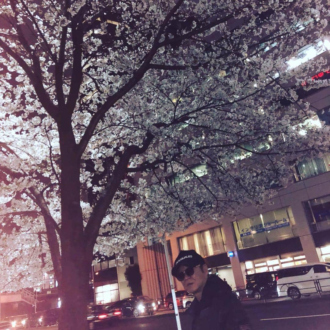 小沢仁志さんのインスタグラム写真 - (小沢仁志Instagram)「夜桜と広東麺と キャプテンマーベルと❗️ マーベル、メチャ強かった❗️笑」3月29日 22時28分 - ozawa_hitoshi