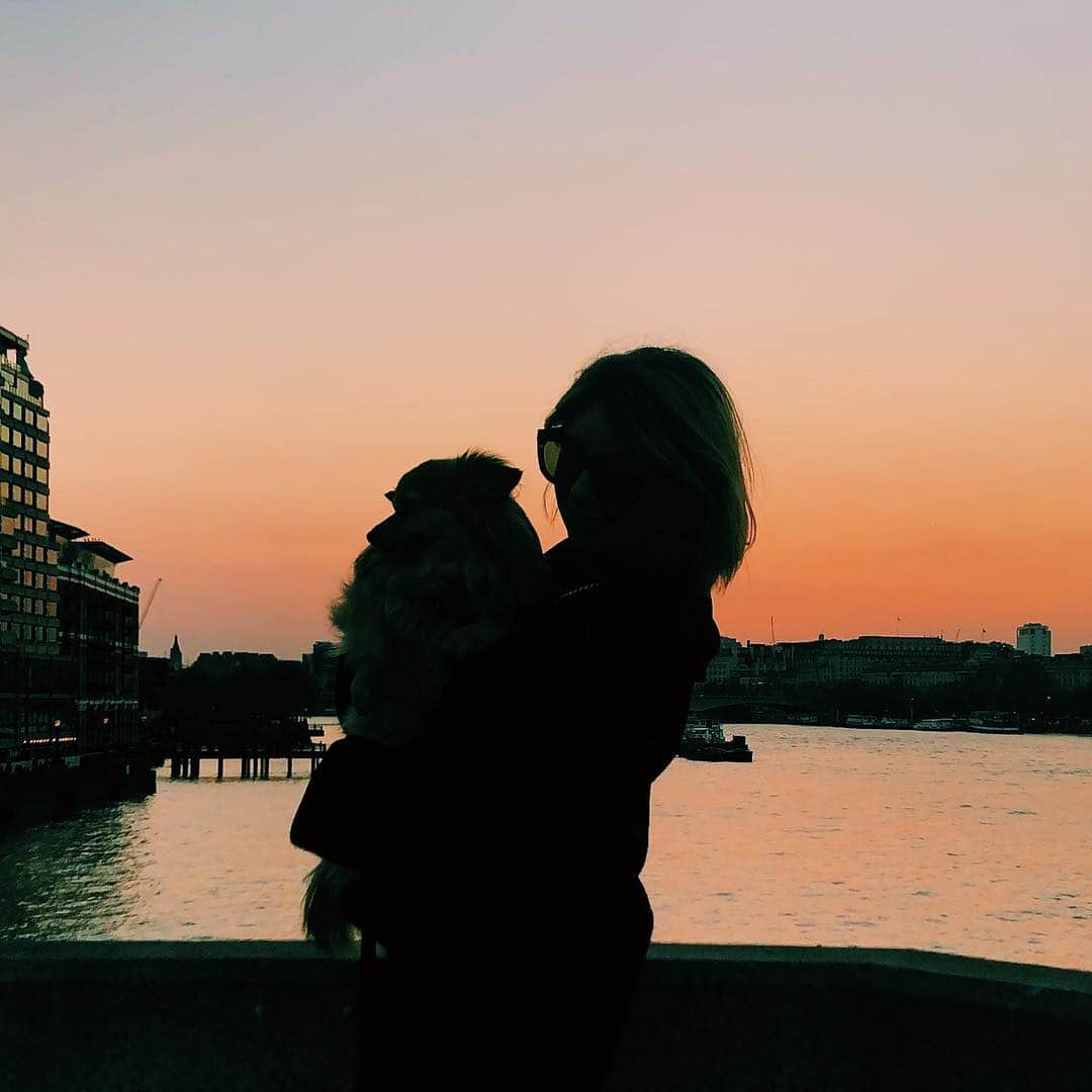リトル・ブーツさんのインスタグラム写真 - (リトル・ブーツInstagram)「As long as I gaze at waterloo sunset I am in paradise... Bye for now London you're alright really x 📸 @lozzyleverge . . . #waterloosunset #londonsunset #londoncity #blackfriars #blackfriarsbridge #thamessunset #riverthames #dogsofinstagram」3月29日 22時38分 - littlebootsmusic