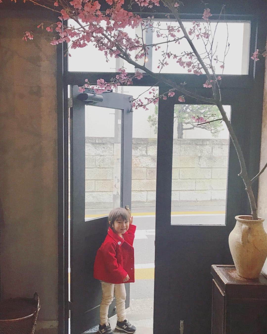 坂本美雨さんのインスタグラム写真 - (坂本美雨Instagram)「新しい扉を開ける季節 #今日のなまこちゃん」3月29日 22時46分 - miu_sakamoto