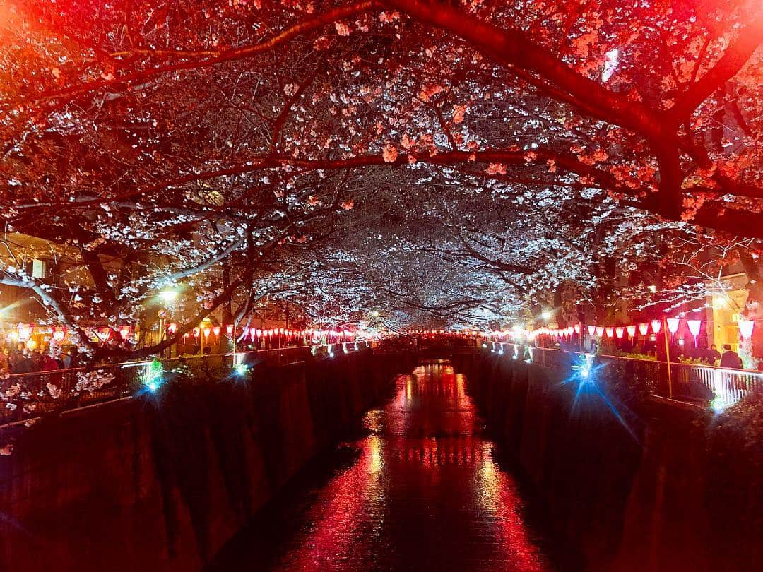 矢倉楓子さんのインスタグラム写真 - (矢倉楓子Instagram)「初めて目黒川の夜桜を見に２人で🌸🌌 みおりんは桜を横目に屋台ばっかり👶🏻️ #花より団子  #中目黒  #桜」3月29日 22時52分 - fufu_ice