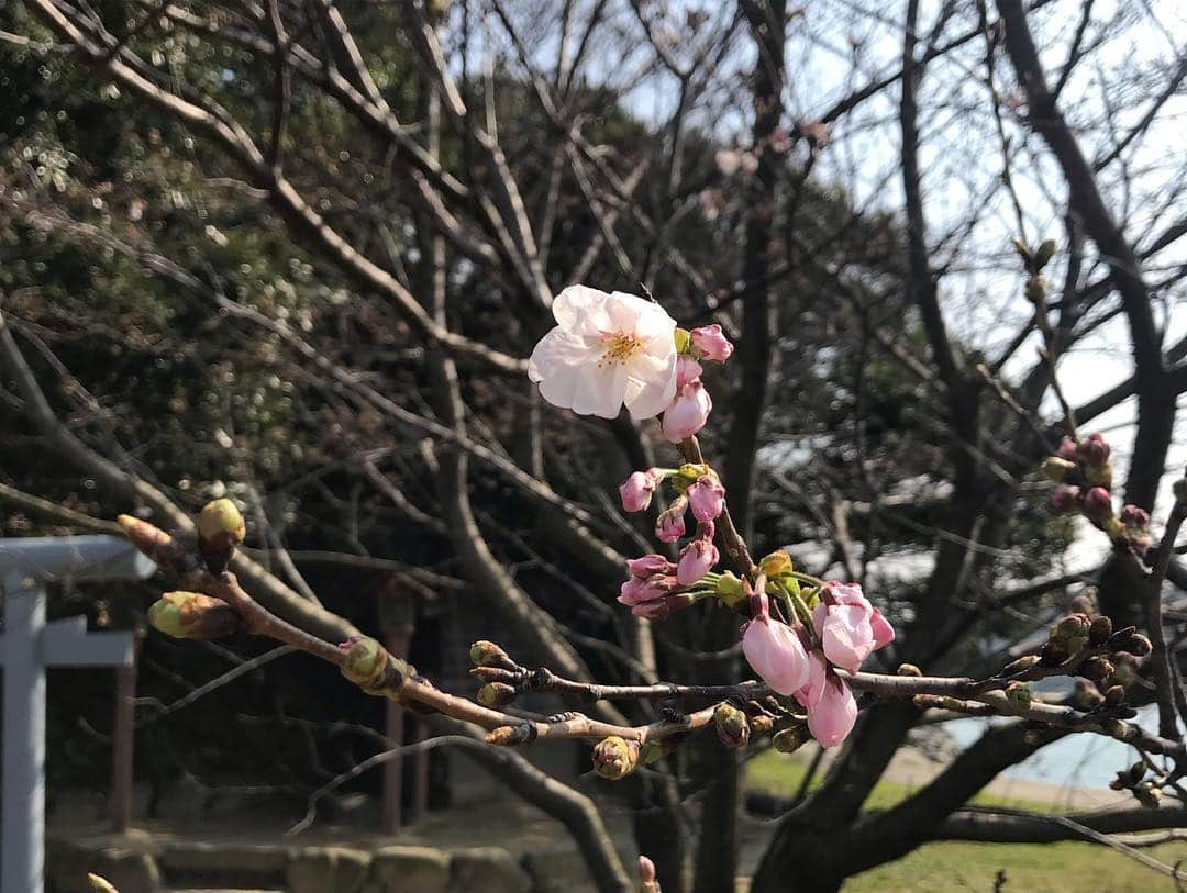 加藤啓さんのインスタグラム写真 - (加藤啓Instagram)「カジャラ北九州、初日。お客さま、感謝です🙌  愉しくてありがたい日々 きのうは巌流島へ  #カジャラ #カジャラ4」3月29日 22時59分 - kato_kei