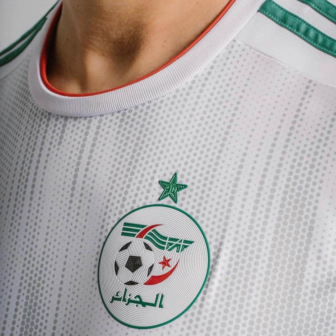 アドレーヌ・グェディウラさんのインスタグラム写真 - (アドレーヌ・グェディウラInstagram)「New Algerians Armor for #AFCON2019 💥 💥 What do you think ?  Nouvelles Armures Algeriennes pour la #CAN2019 💥 💥 Votre avis ?  Represente @smabouabdellah #dababa #tiribark #faf #lesverts #elkhadra #123vivalalgerie. @magteam_」3月29日 23時06分 - adleneg17