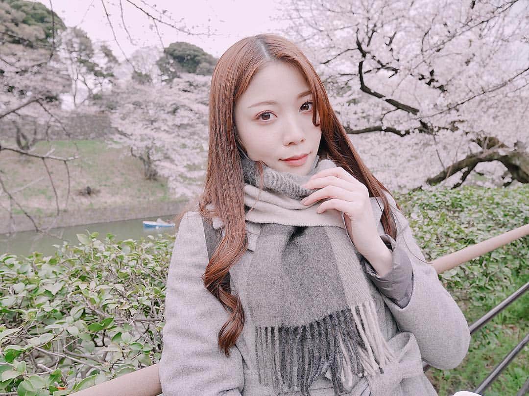 のインスタグラム：「今年初桜🌸今まで行ったことなかった所🌸﻿ お堀と桜がなかなかの圧巻です🥺 レジャーシート禁止でゴミがないのが素晴らしい👏 日本本来の風情を感じられます◎やっぱ桜っていいね◎ 全面ピンク色でハッピーな気持ちになれます💗 ﻿ #お花見 #花見 #春 #桜 #さくら #サクラ﻿ #半蔵門﻿ #東京 #庭 #花 #お堀 #池 #皇居 #千鳥ヶ淵 #九段下 #靖国神社﻿ #ボート #スワンボート #🌸 #日本 #観光 #東京観光 #Tokyo #boat #sakura #cherryblossom #blossom #japan #trip #japanesegirl」
