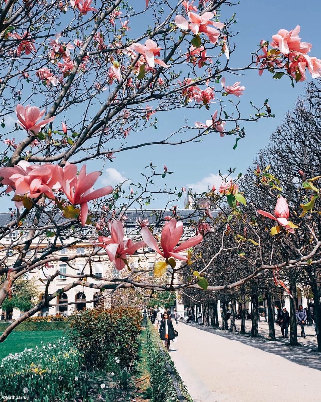 nathparisのインスタグラム：「Blue day, have a nice weekend 🌸 #paris」