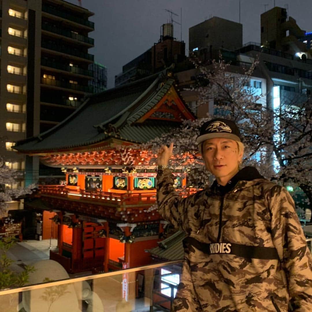 のインスタグラム：「ユカイさんも言ってましたが、、、 桜の季節なので、チェリーさんのバンド、お邪魔してきました♫  バンドも夜桜も、最高でした！  #rollbdinosaur #live #神田明神 #日本の春 #桜 #rudies」