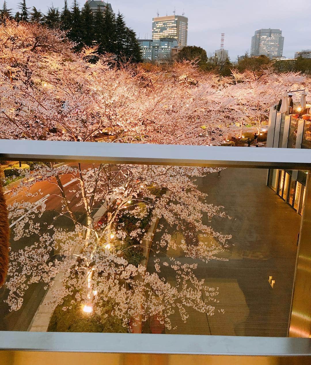 渡辺美奈代さんのインスタグラム写真 - (渡辺美奈代Instagram)「ミッドタウン！の桜🌸 みんなが撮っていたから 私も！😊」3月29日 23時28分 - watanabe_minayo
