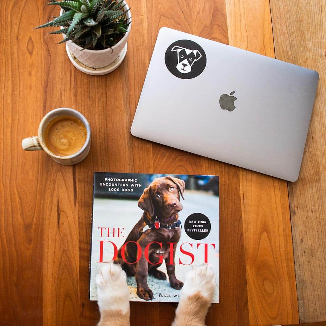 The Dogistさんのインスタグラム写真 - (The DogistInstagram)「Dive into a good book this weekend. If you don’t already have The Dogist book, a New York Times Bestseller, this is your chance to impress your dog or get it for a friend. We’re doing 20% off the entire Dogist Shop this weekend, so don’t snooze on this one! Use promo code: MARCHMADNESS at shop.thedogist.com (link in bio)」3月29日 23時34分 - thedogist