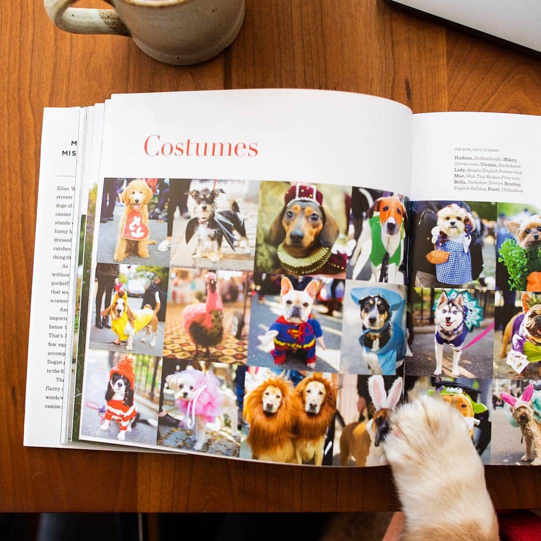 The Dogistさんのインスタグラム写真 - (The DogistInstagram)「Dive into a good book this weekend. If you don’t already have The Dogist book, a New York Times Bestseller, this is your chance to impress your dog or get it for a friend. We’re doing 20% off the entire Dogist Shop this weekend, so don’t snooze on this one! Use promo code: MARCHMADNESS at shop.thedogist.com (link in bio)」3月29日 23時34分 - thedogist