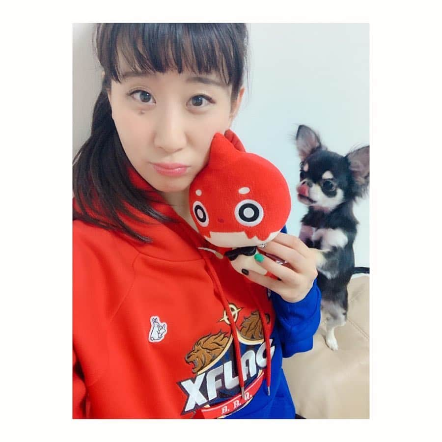 ぱちおまるさんのインスタグラム写真 - (ぱちおまるInstagram)「なんか狙っとるやつおるな🐶😂 FR2×FC東京×XFLAGのコラボパーカー💙❤️FR2原宿店のみでの販売とのこと🤘これでMサイズ💪  下もあるから、また全身きてみよう🦸‍♂️サコッシュに続いて着こなし選手権やらなきゃw  #fc東京 #FR2 #xflag #パーカー #FR2xFC東京xXFLAG #コラボパーカー着こなし選手権 #ぱちょこたん」3月29日 23時50分 - pachiomaru