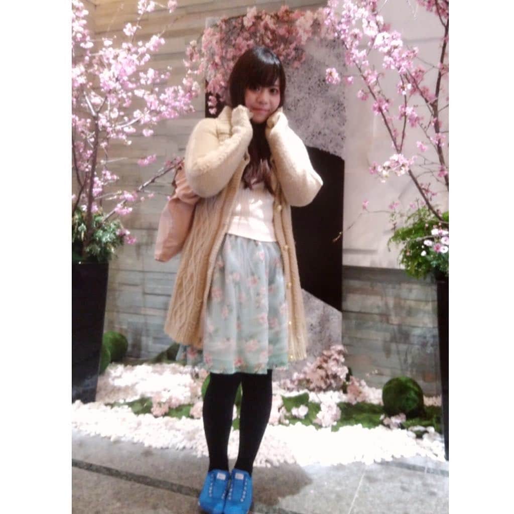 hoshizaki eriのインスタグラム：「. こんばんは✨💖🌃 . 最近はバタバタし過ぎて なかなか大変なのですが…😭💦 早く色々落ち着きたい…！（ ; ; ） . さて、簡潔にまとめますが ①寒かった日のコーデ👗💗 ニットカーデ💖アクシーズファム @axes_femme_official  ワンピース💖プライムパターン @cherite_by_primepattern バッグ💖ジルバイジルスチュアート @jillbyjillstuart_official スリッポン💖オニツカタイガー  @onitsukatigerjp こんな感じでした💗✨😘 背景の桜🌸が素敵でしたよー🌸 . ②久々に銀座三越のラデュレにて ゆっくりお茶タイム…💖 可愛くて美味しいスイーツをたべて のんびりしてパワー充電しました❣️✨😘 . ③そして最近ハマっている コスメブランド【ウィッチズボーチ】✨💗 また美容記事に詳しくまとめますが、 とにかく発色が良し🙆‍♀️ラメ感も良し🙆‍♀️ あとは持ちが良くて🙆‍♀️で 色々集めてます💖 . 本当に完全にピンクメイクにハマって 日々色々と研究をしてるのですが 今は青みピンク系ばかり集めて 日々お試し中です(∩´∀`∩)💗❣️ いくつになってもピンク大好きー！💕🍀 . ④そして！ふき取りクレンジングは 評判が良くて試してみたかった ヘイミッシュを愛用中です💗 こちらも最近欠かせないコスメです💄✨💗 . ストーリーにもまたリンクを貼りますが 美容ライターとして情報を発信している 【mybest】は勿論、ブログ等でも ゆっくり記事をまとめていくので 是非ぜひ、見てくださいね😘💕🍀 . 早く暖かくなりますように…🙏🌃✨ . . #ootd #motd💄 #femininecode #girly #pinkpinkpink💕 #美容ライター #ピンクメイク #桜🌸 #tokyogirl #女子力向上委員会 #韓国コスメ #オルチャンメイク #pleaselikeit #銀座カフェ #ラデュレ #sweets #springmakeup #likebackalways #followme #followback #相互フォロー #오오티디 #맞팔 #팔로미 #뷰티인스타 #화장품스타그램 #화장품추천 #메이크업」