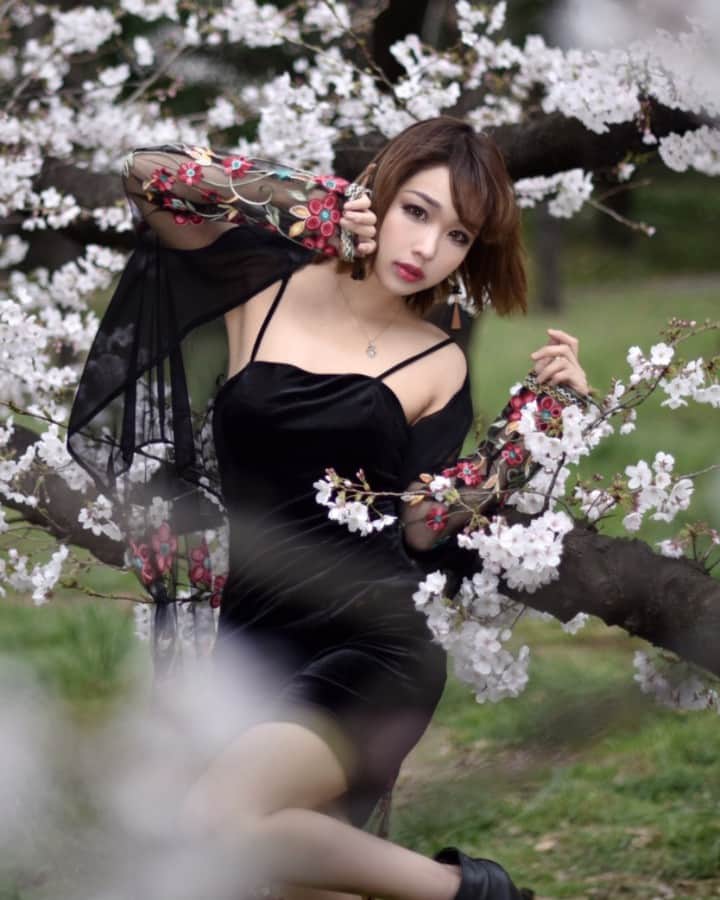 akane...さんのインスタグラム写真 - (akane...Instagram)「、 model akane 、桜です✨ #桜 #砧公園 、 Photo by TASAKI 、 、 、 、  follow me ❤️ #写真 #ファインダー越しの私の世界 #photo#portrait #ポートレート  #楽しい #Japan#撮影会#japan#日本#一眼レフ #portraits#인물#인물사진#picoftheday #photography #好き#love #pic#picture #モデル#followme」3月30日 0時04分 - akane.nekoneko