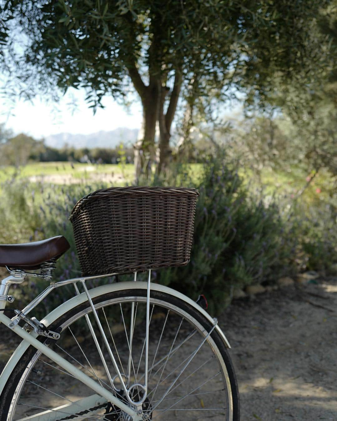 ニッキー・リードさんのインスタグラム写真 - (ニッキー・リードInstagram)「“We write to taste life twice, in the moment and in retrospect.” One of my favorites from my favorite Anais Nin. Strolling by this bicycle just now I thought of you. How much do I feel this and every other piece of poetry you left with us...」3月30日 0時30分 - nikkireed