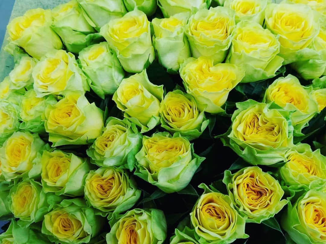 谷口キヨコのグルメインスタ