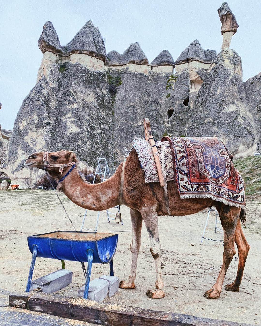 のインスタグラム：「パシャバー🇹🇷 キノコのような岩が柱のように立つ"妖精の煙突"が沢山並ぶ場所！！ めちゃくちゃドーンて感じで圧倒！！ . #パシャバー#Pasabag#yukajourneyy#旅#海外旅行#旅#女子旅#トルコ#Türkiye#Turkiye#カッパドキア #Cappadocia#kapadokia#絶景#秘境」