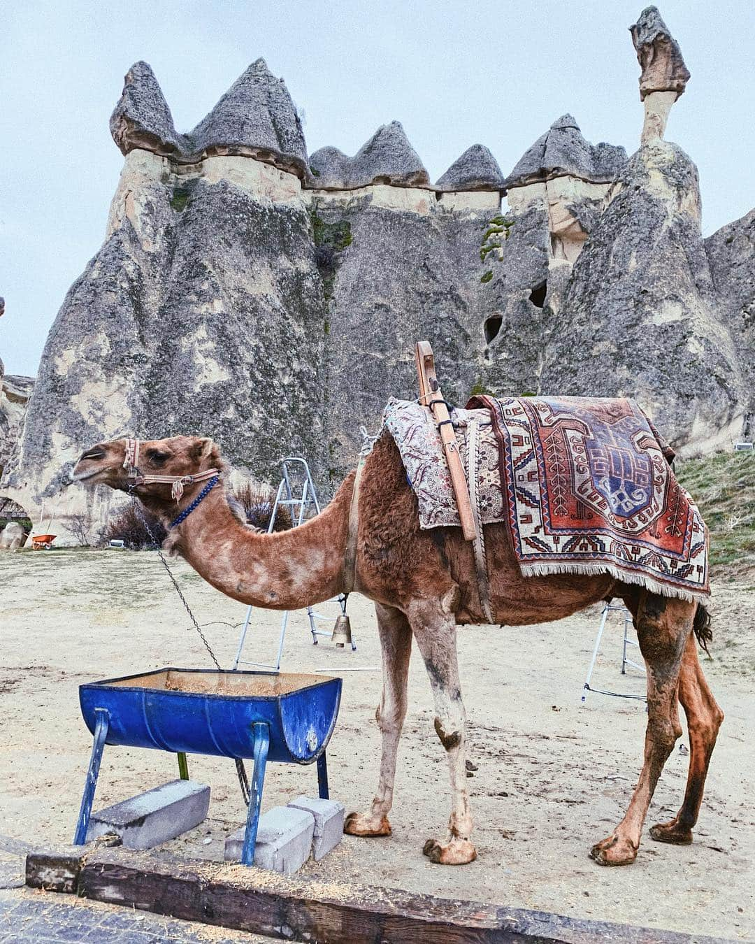 松林裕香さんのインスタグラム写真 - (松林裕香Instagram)「パシャバー🇹🇷 キノコのような岩が柱のように立つ"妖精の煙突"が沢山並ぶ場所！！ めちゃくちゃドーンて感じで圧倒！！ . #パシャバー#Pasabag#yukajourneyy#旅#海外旅行#旅#女子旅#トルコ#Türkiye#Turkiye#カッパドキア #Cappadocia#kapadokia#絶景#秘境」3月30日 1時13分 - yukapiano_