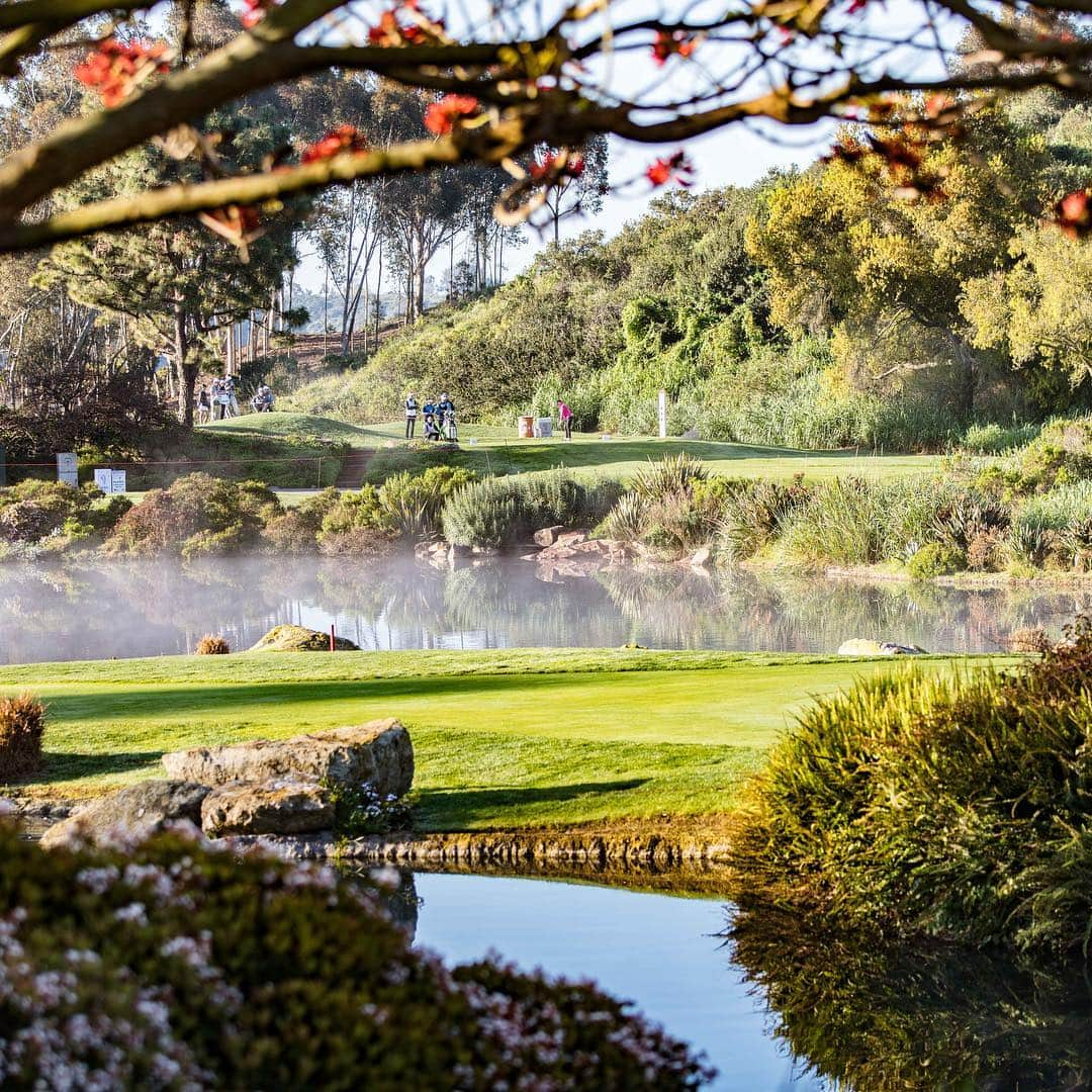 サンドラ・ガルさんのインスタグラム写真 - (サンドラ・ガルInstagram)「60k!!! THANK YOU for following my journey and impressions from this world 🌎 My dad took these two pics from the course this week - such a magical place! 🌳🌺 Always trying to take in as much as I can and share it with you! @lpgakiaclassic . . . 📸: @thejangal」3月30日 1時22分 - thesandragal