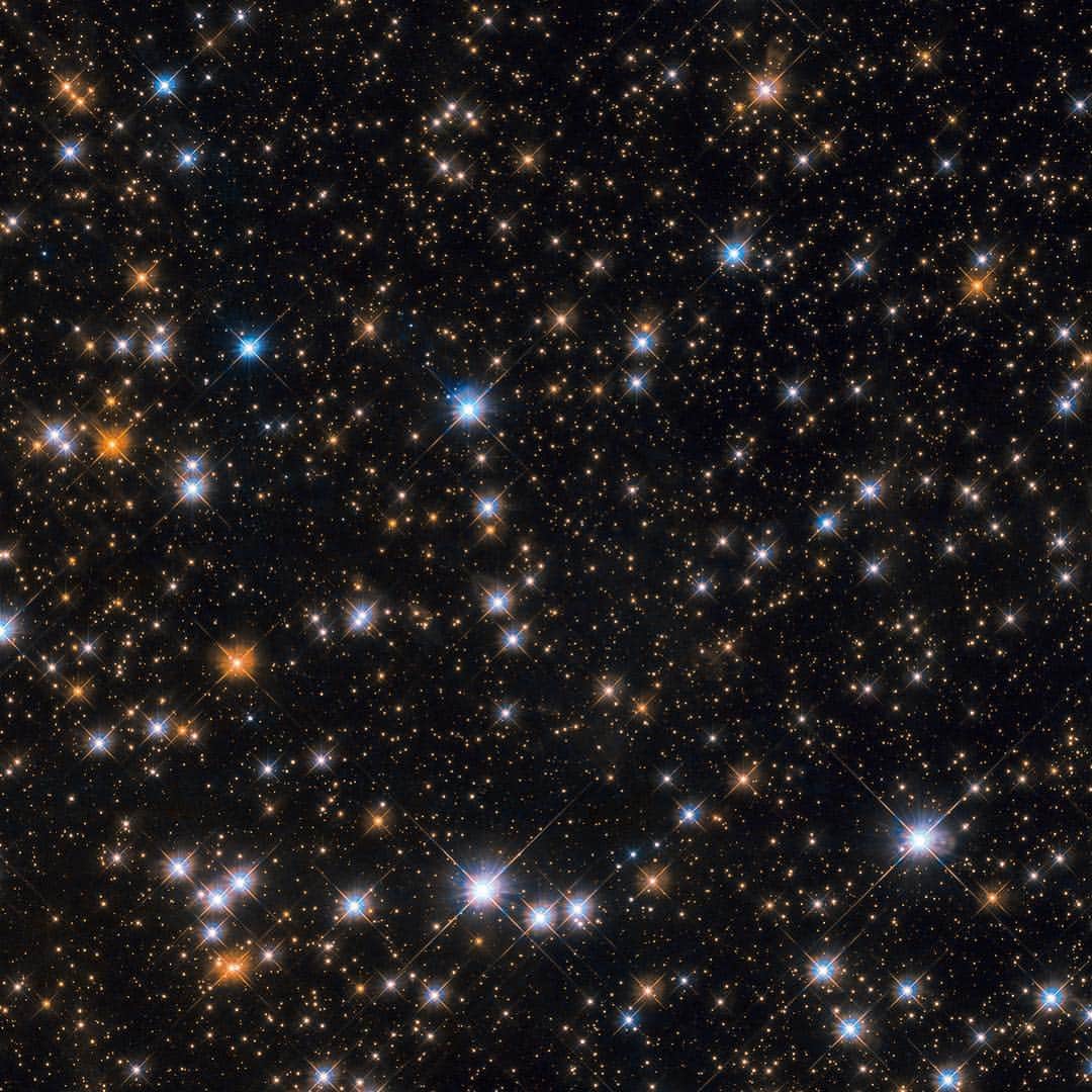NASAさんのインスタグラム写真 - (NASAInstagram)「How many cosmic ducks do you see in this open star cluster known as the Wild Duck Cluster? 🦆👀🦆 This star-studded image from @NASAHubble shows us a portion of Messier 11, an open star cluster in the southern constellation of Scutum (the Shield). Messier 11 is also known as the Wild Duck Cluster, as its brightest stars form a “V” shape that somewhat resembles a flock of ducks in flight.  Messier 11 is one of the richest and most compact open clusters currently known. By investigating the brightest, hottest main sequence stars in the cluster, astronomers estimate that it formed roughly 220 million years ago. Open clusters tend to contain fewer and younger stars than their more compact globular cousins, and Messier 11 is no exception: at its center lie many blue stars, the hottest and youngest of the cluster’s few thousand stellar residents.  The lifespans of open clusters are also relatively short compared to those of globular ones; stars in open clusters are spread farther apart and are thus not as strongly bound to each other by gravity, causing them to be more easily and quickly drawn away by stronger gravitational forces. As a result, Messier 11 is likely to disperse in a few million years as its members are ejected one by one, pulled away by other celestial objects in the vicinity.  Credit: ESA/Hubble & NASA, P. Dobbie et al. #nasagoddard #space #hubble #duck #galaxy」3月30日 2時48分 - nasagoddard
