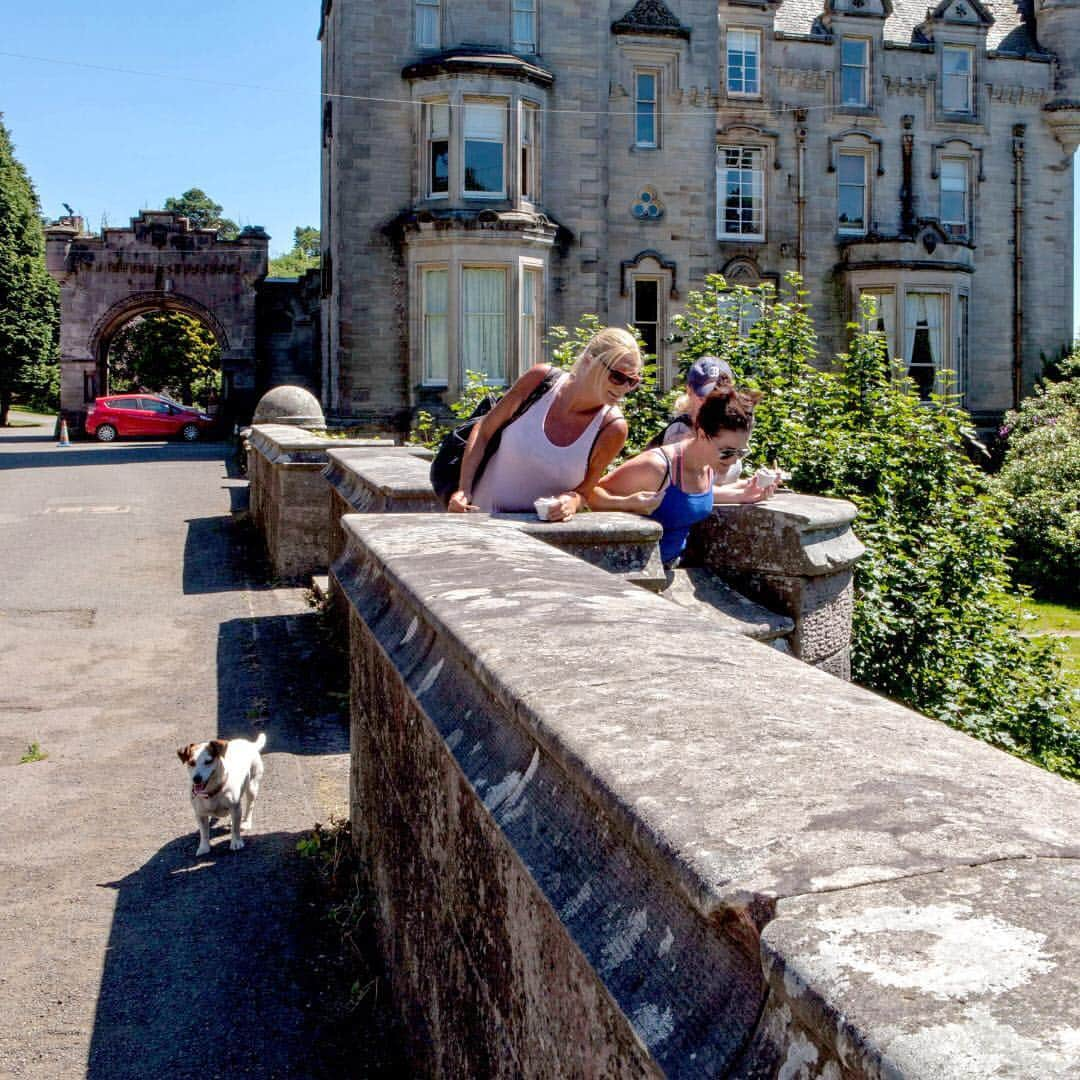 ニューヨーク・タイムズさんのインスタグラム写真 - (ニューヨーク・タイムズInstagram)「Since the 1950s, hundreds of dogs have jumped off this bridge in Dumbarton, Scotland. Many have ended up dead on the jagged rocks in the deep valley bed below. Some say there are rational explanations involving the terrain and the scents of mammals in the gorge that may drive the dogs into a frenzy. But in a land of superstition and mystery, other explanations take on a more paranormal tone. “After 11 years of research, I’m convinced it’s a ghost,” said Paul Owens, a teacher of religion and philosophy who grew up in a town close to the bridge. He recently published a book about the mystery. Visit the link in our profile to read more. @sophiegerrard shot this photo.」3月30日 4時11分 - nytimes